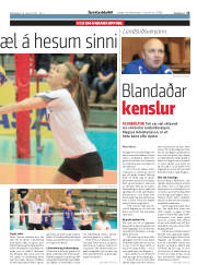 Síða 15