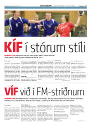 Síða 17