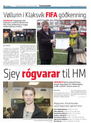 Síða 20