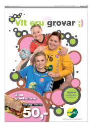 Síða 29