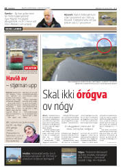 Síða 14