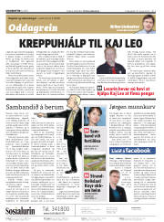 Síða 2