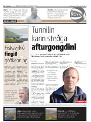 Síða 12