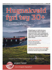 Síða 29