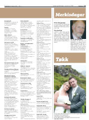 Síða 31