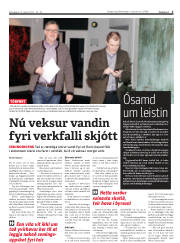 Síða 3
