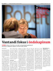 Síða 8