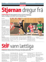 Síða 14