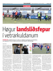 Síða 17
