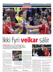 Síða 21