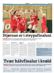 Síða 15