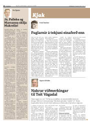 Síða 26