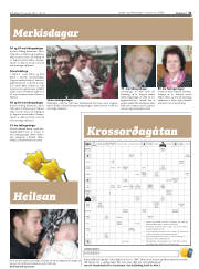 Síða 31