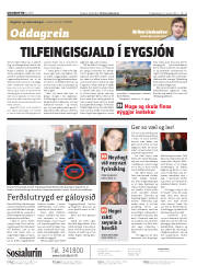 Síða 2