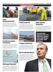Síða 9