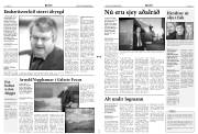Síða 3