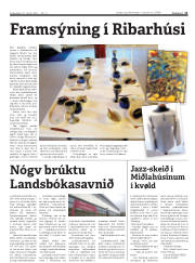 Síða 11