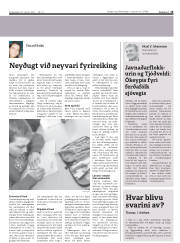 Síða 15