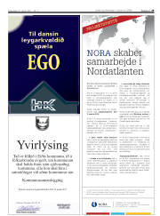 Síða 29