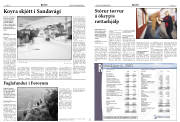 Síða 8