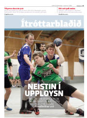 Síða 13
