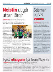 Síða 17