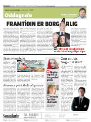 Síða 2