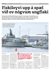 Síða 12
