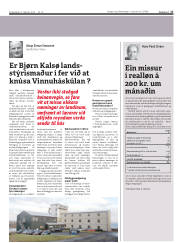 Síða 17