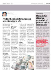 Síða 19