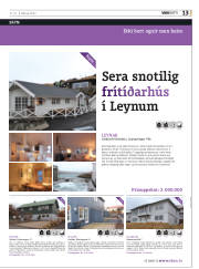 Síða 45