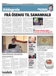 Síða 2