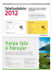 Síða 3