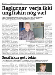 Síða 10