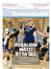 Síða 13