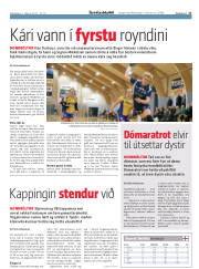 Síða 17