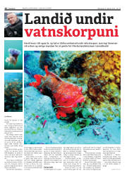 Síða 26