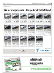Síða 29