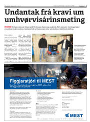 Síða 3