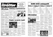 Síða 15