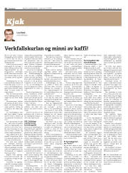Síða 20