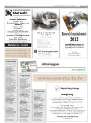Síða 29