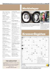 Síða 31