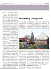 Síða 17