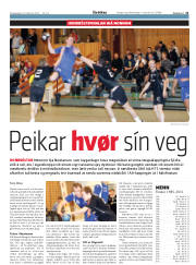 Síða 21