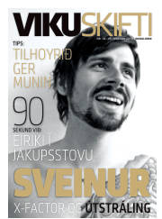 Síða 33