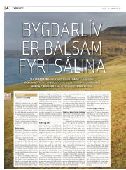 Síða 36