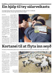Síða 4