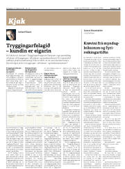 Síða 11