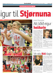 Síða 17